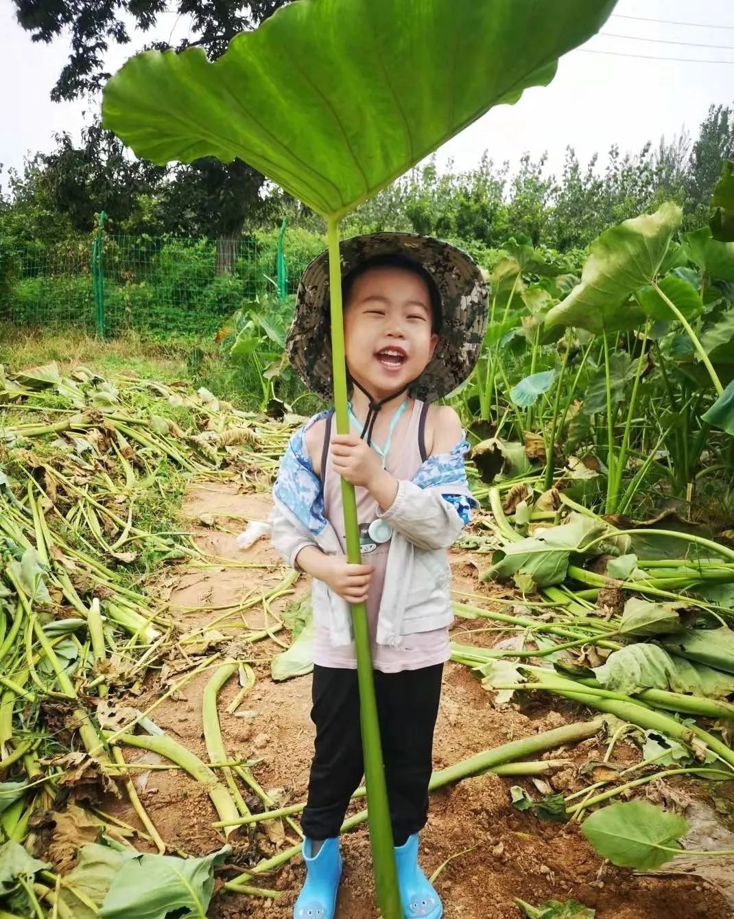 1631587085842431.jpg 11.webp.jpg